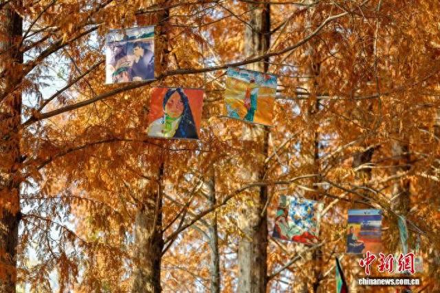 安徽休宁：冬韵铺展“艺术公路” 人车穿行入画来