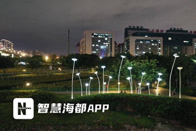 花海公园“金针菇灯”点亮闽江夜！