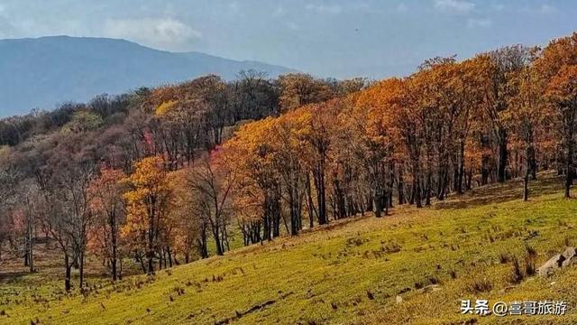 登临四方顶，邂逅长白山的四季情书