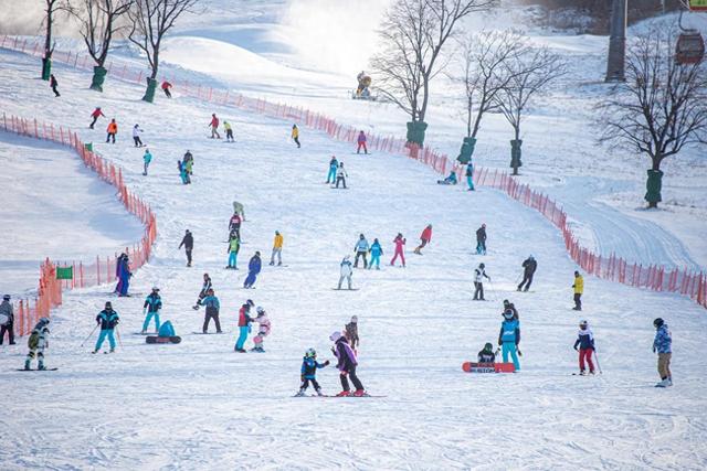 “南下避寒”“北上追雪”展现蓬勃活力