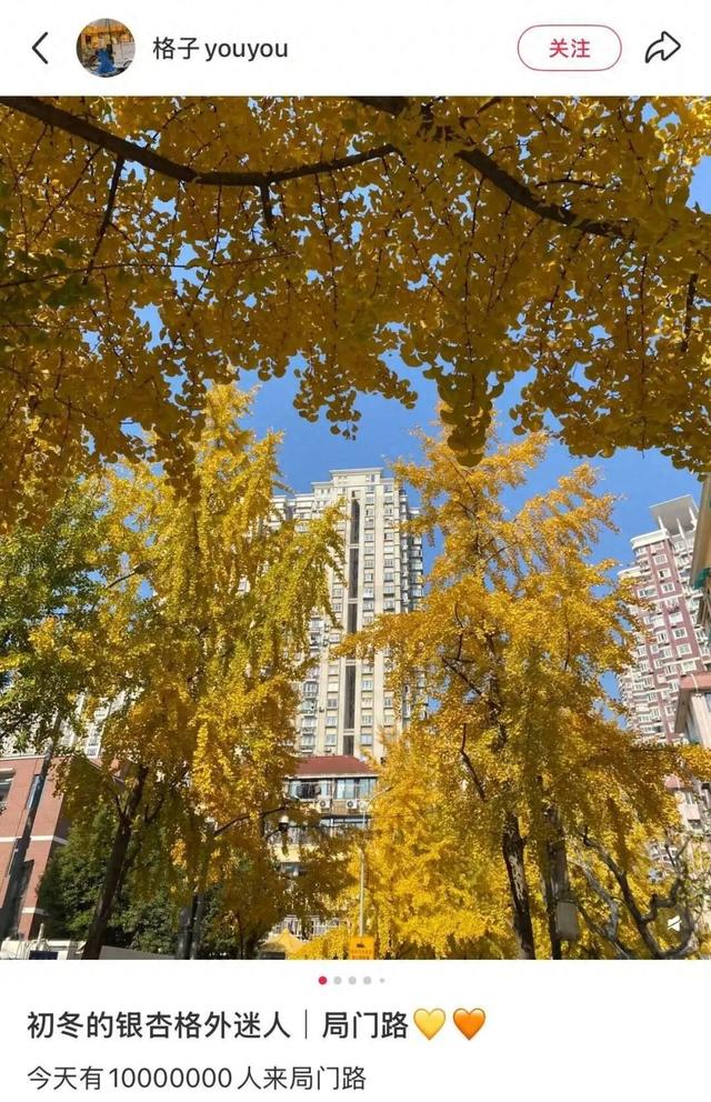 "全上海人都来了吧…"今天这条路什么情况？大堵车！还有30万人抢破头↗