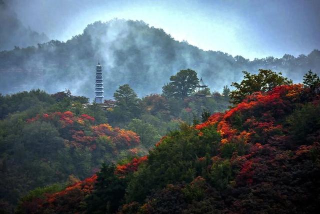 看漫山红叶、赏壮美秋景，邢台这些地方千万不要错过