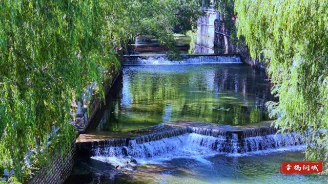 【钢城实践⑮】幸福港里河，“家门口”的诗和远方