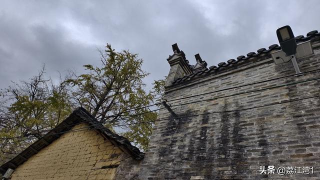 游长岗岭古村，观飘黄银杏