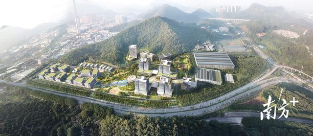 腹腔镜手术后能否吃花胶 腹腔镜术后可以吃花胶吗