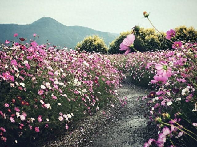 女人要治服一个男人，最有效的方式：两个字