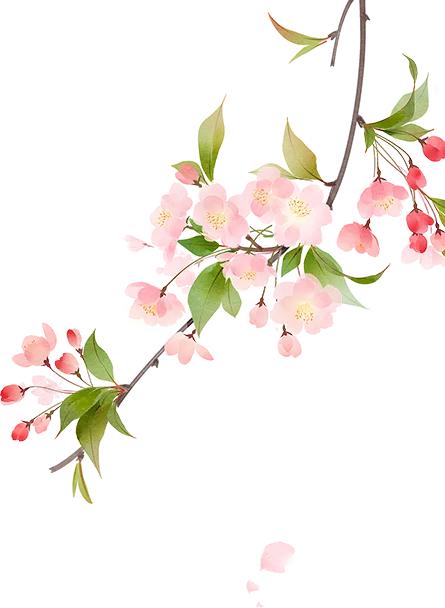 爷爷的胡子好像什么造句(王宜振教童诗第七十二期)