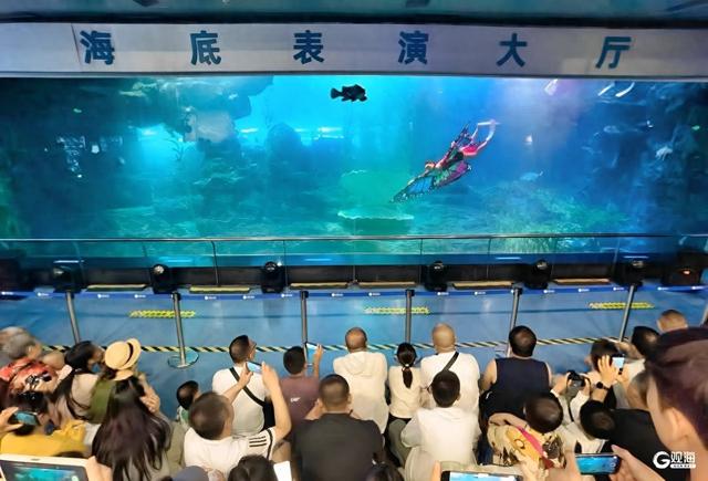 全新“海底荧光奇妙夜”来了！快来打卡青岛海底世界