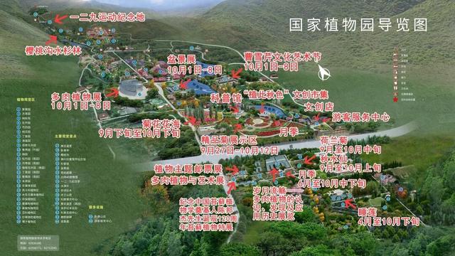 缤纷花事扮靓金秋！国家植物园假期游园攻略来啦