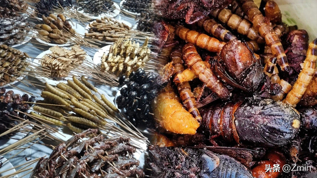 06.自传体小说（挨饿）