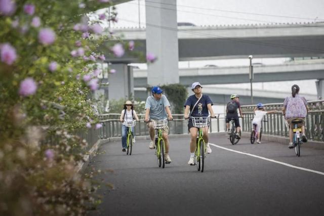 一路都是好风景！快来长宁这条绿道骑行、赏景吧～