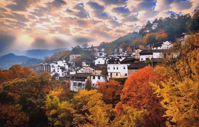 秋染徽州：一场穿越千年的色彩盛宴