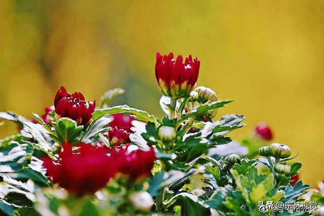 多喜乐长安宁：2025•10