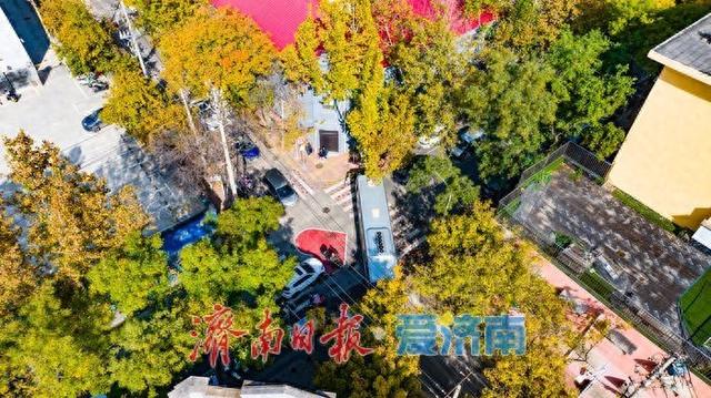 树影婆娑间，邂逅济南最温柔的秋天