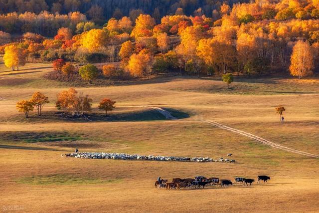 多地秋假热度远超预期