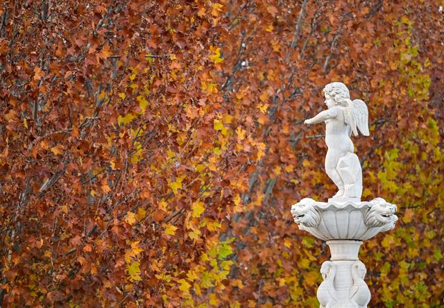 初冬园博园，周末好时光