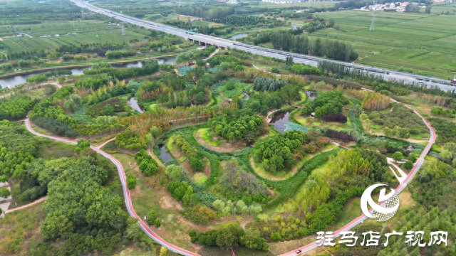 天中湿地植物园：从污水净化到诗意栖居 勾勒生态新图景