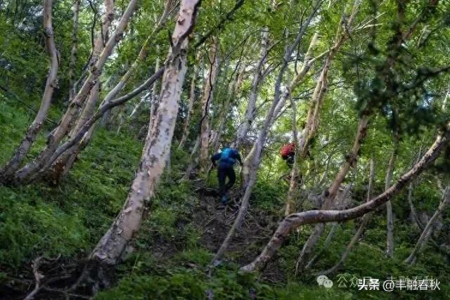 重装穿越小五台山（外一首）｜ 罗锋（山水）