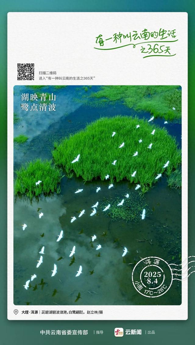 鹭舞茈碧湖 唯“茈”醉青绿｜有一种叫云南的生活之365天