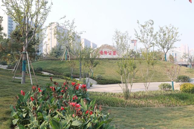 记顺阳公园石刻景观