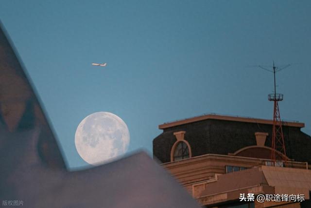 追月 21 天，5 处冷门观月地，藏着李白没写完的月光