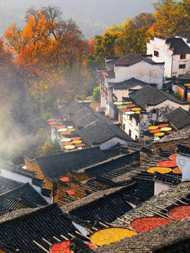 “秋假”第一站！上饶把最美的颜色，“晒”给你看