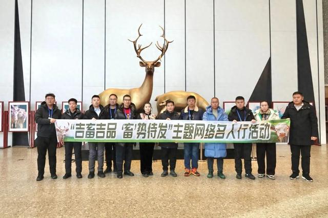 吉畜吉品 “畜”势待发 | 网络名人打卡中国双阳梅花鹿博物馆
