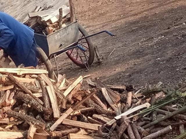 孤岛96天游戏攻略（96年洪水冲垮了村子）