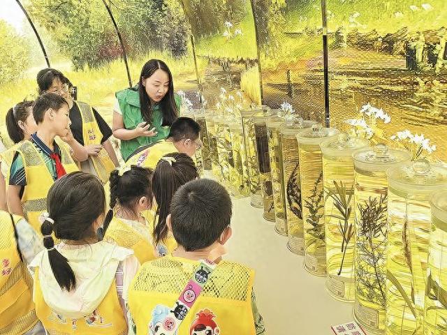 巢湖：探秘生态湿地 守护“母亲湖”