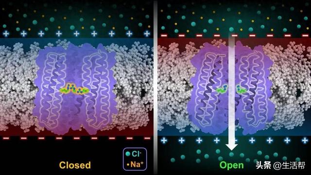 首次！西湖大学再获重要突破