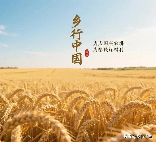 《乡行中国》走进贵州六枝特区：探寻独特之地的昨天、今天与明天