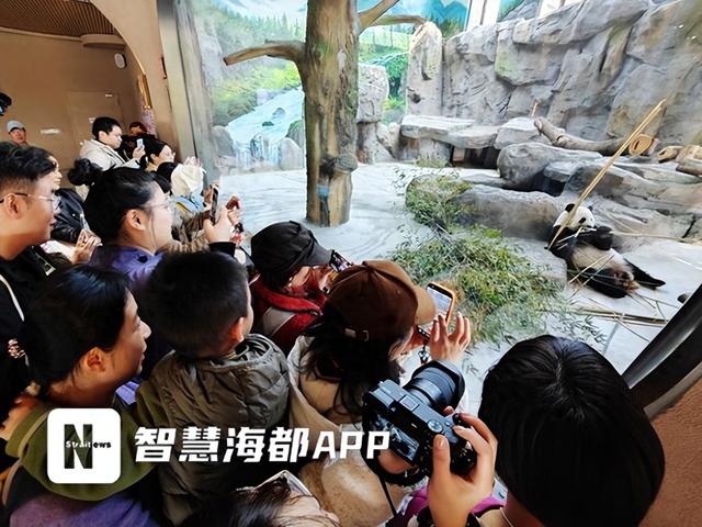 福州新春游玩全攻略！这份“花式过年指南”，带你一站式打卡全城福地