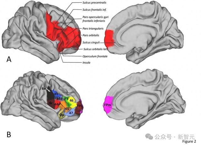 xor优化（AMD GPU性能暴涨7倍）