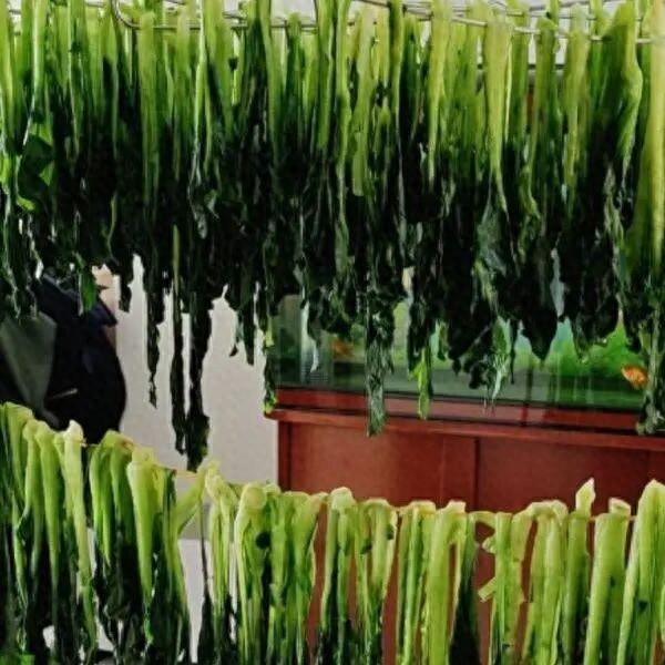 扁豆怎么做好吃又简单（五毛一斤的便宜菜）