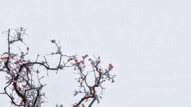 男人若是爱上了一个中年女人，他的反应，其实会是这样的，很真实