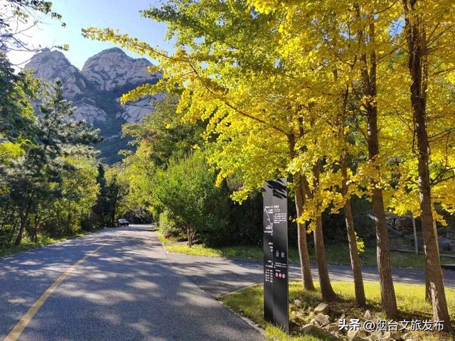 【乐游烟台】别再等了！此刻烟台昆嵛山秋色正浓