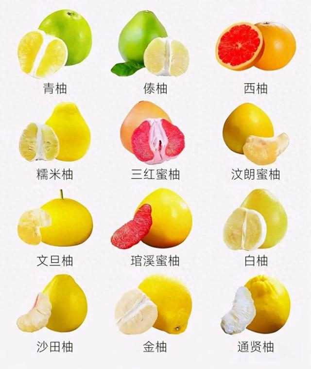 特别搞笑讨论组名字（近期大量上市医生紧急提醒不要一起吃）