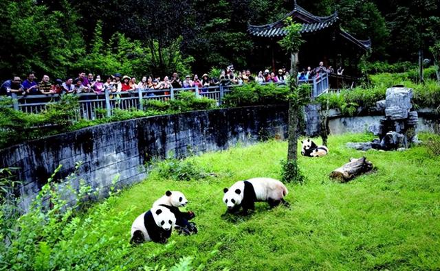 雅安雨城交旅融合：大道通衢处 文旅正兴时