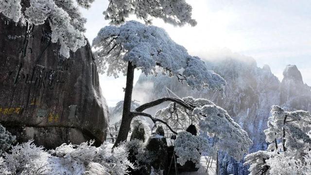 冬游黄山，门票优惠已就位→