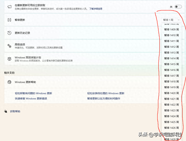 如何关闭win10自动更新系统（邪修关闭Windows1011的自动更新的另外一种方法）