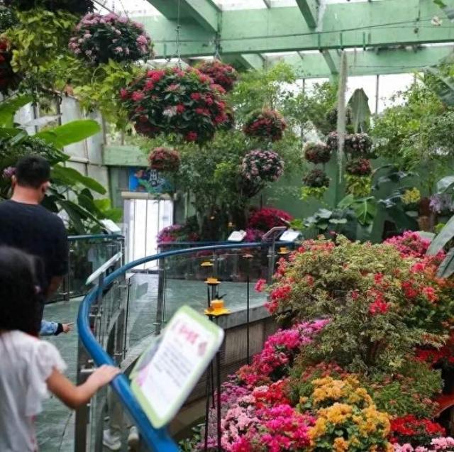 上海公园9月花展活动预告来啦！随手拍美景，“寻觅魔都绿踪，转角遇到美”征集活动持续进行中……