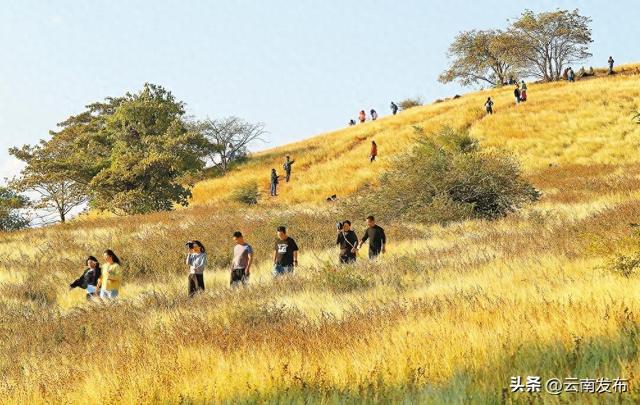 云南藏着片非洲大草原