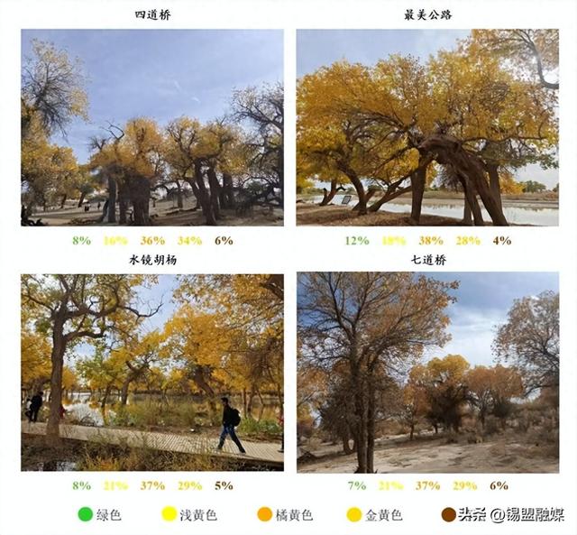 出现少量落叶！整体进入最佳观赏期！