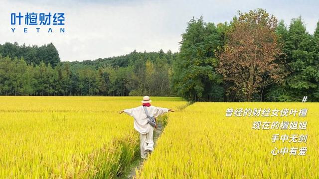 人到中年,没有事业,没有感情,人生一败涂地……丨叶檀回信