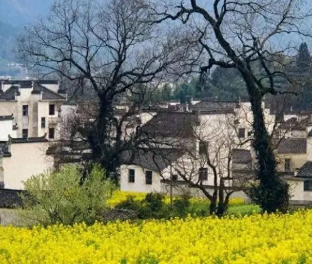 梦见自己上厕所大便是什么意思（梦见自己拉屎是什么意思预示什么）