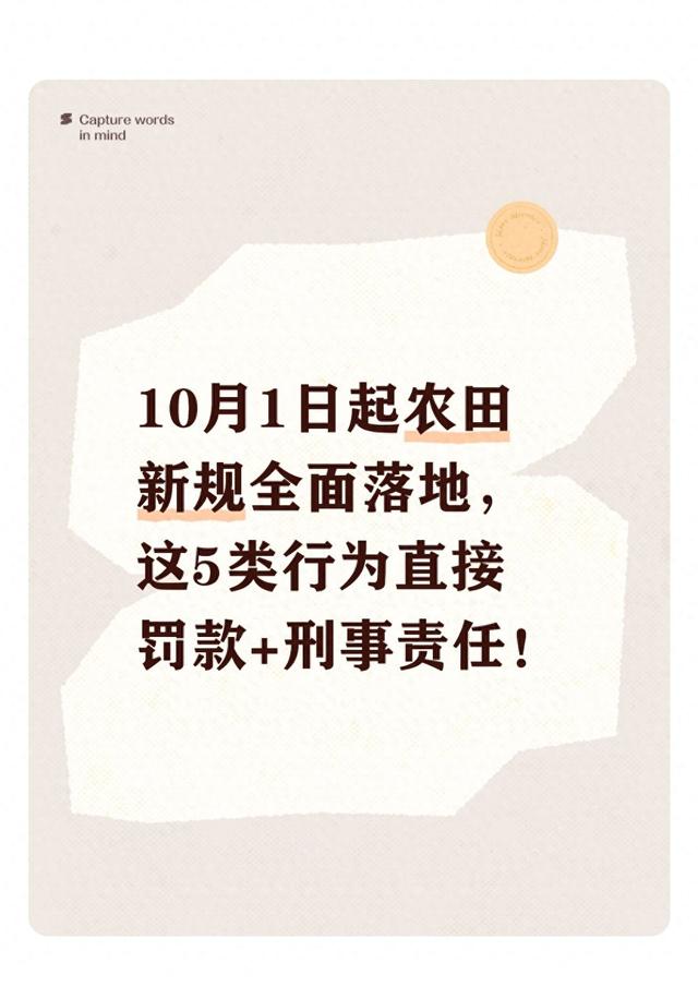 10月1日起农田新规全面落地，这5类行为直接罚款+刑事责任！
