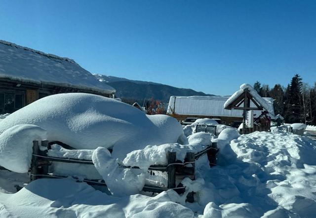 禾木村下雪了，零下15度美景如仙境，周五暴雪来临前抓紧去看看