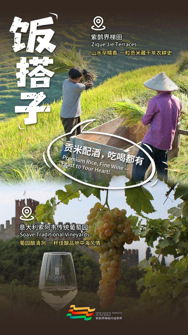 双语海报｜紫鹊界全球“邀约” 邂逅诗意世界级搭子
