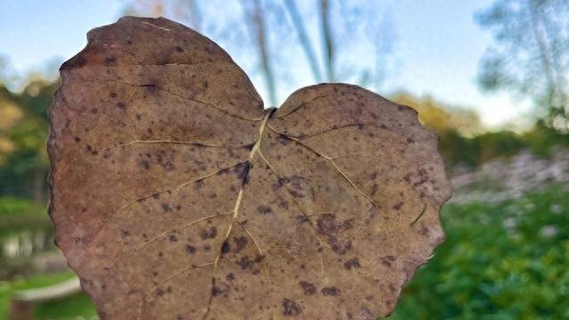 肖振华：不求完美 懂得容错