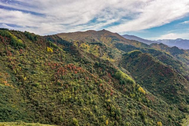 请收下，这封古浪秋日的请柬
